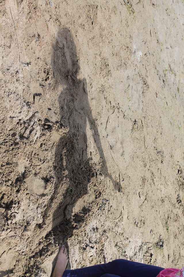 21039549_1613921552007614_214037798_n