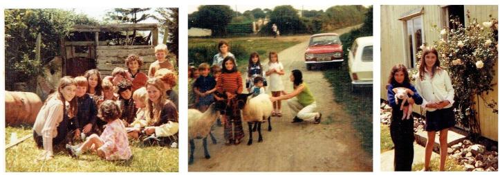 ballymacaw collage fin.jpg